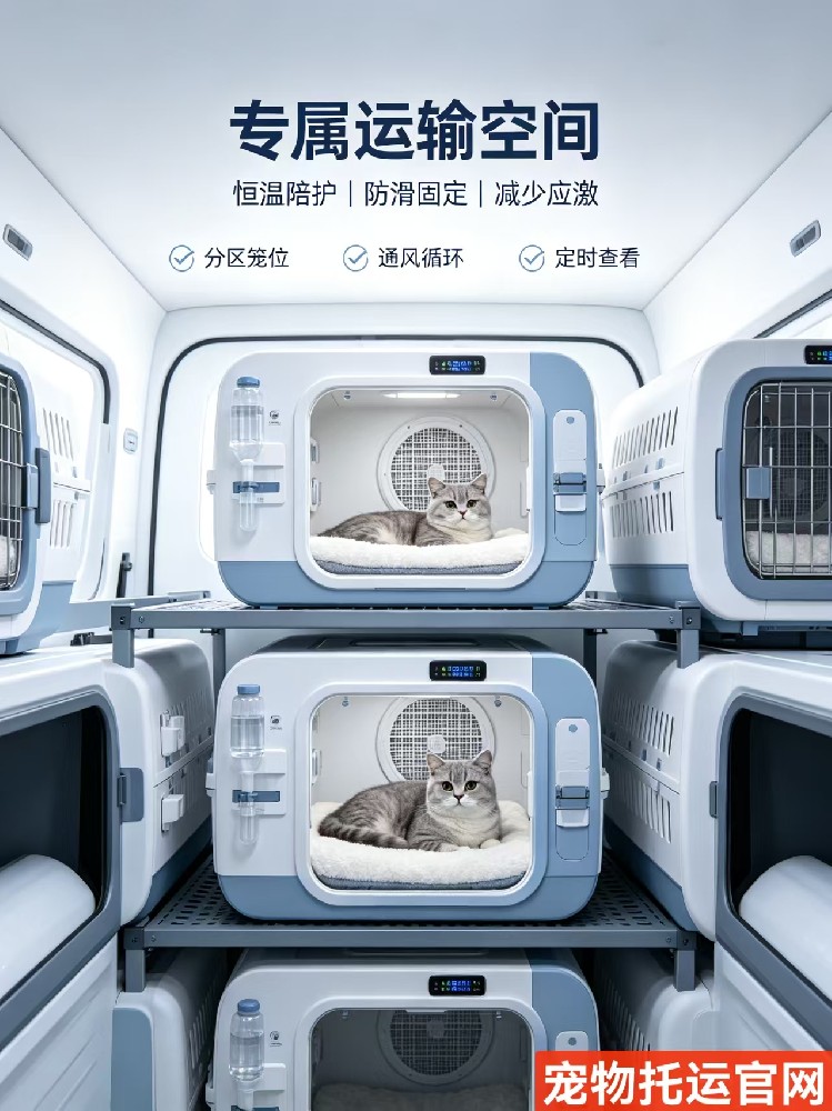 宠物托运1.jpg